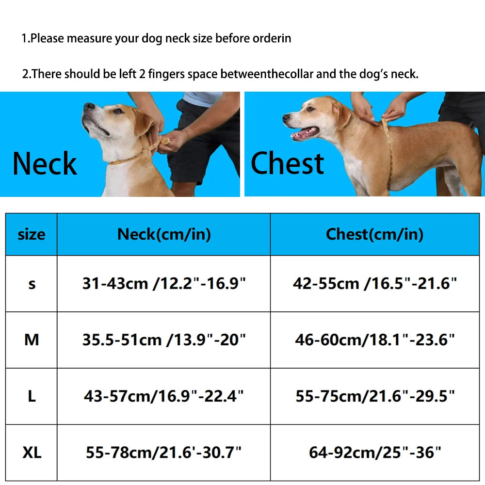 No-Pull Dog Harness | Adjustable & Escape-Proof | All Sizes & Colors